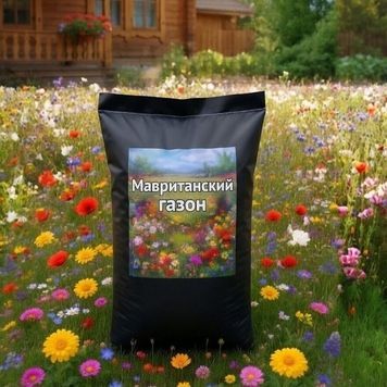 Мавританский цветущий газон mavrutanskiy фото