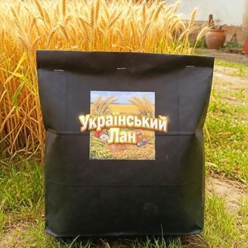 Злаковый газон ukrlan фото