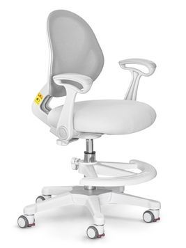 Ортопедический стул для школьника Evo-kids Mio Air Y-307 G фото