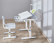 Детская парта со стульчиком FunDesk Bellissima Grey 515720 фото 7