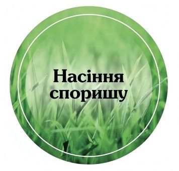 Семена Спорыша 427 фото